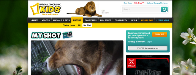 National Geographic Kids My-Shot website